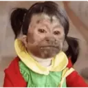 ملصق