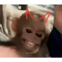 ملصق