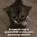 Stika