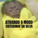 Stika