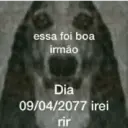Stika