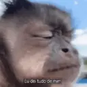 Stika