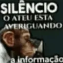Stika