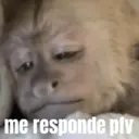 Stika
