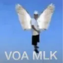 Stika