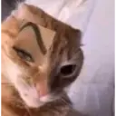Pelekat