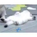 Pelekat
