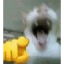 Pelekat