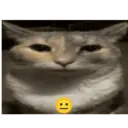 Pelekat