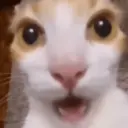 Pelekat