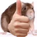 ステッカー
