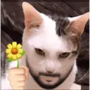 ステッカー