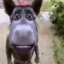ステッカー