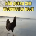 Figurinha