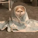 Figurinha
