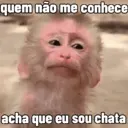 ملصق