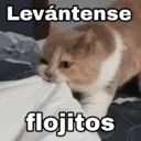 Çıkartma