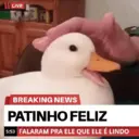 Figurinha