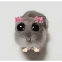 ස්ටිකර්