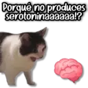 Nhãn dán