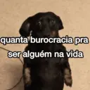 Figurinha
