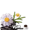Стикер