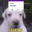 贴纸