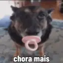 ملصق
