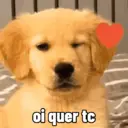 ملصق