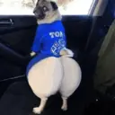 ملصق