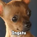 Límmiði