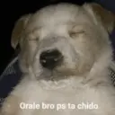 Çıkartma