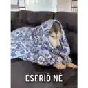 ملصق