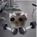 ステッカー