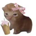 ステッカー