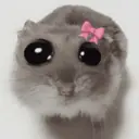ステッカー