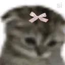 ステッカー
