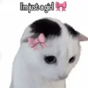 ステッカー