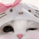 ステッカー