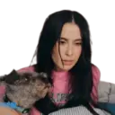 Figurinha