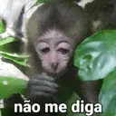 ملصق