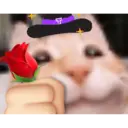 ملصق