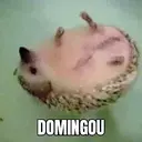 Límmiði