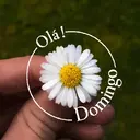 Límmiði