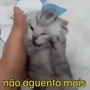 Figurinha