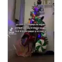 Pelekat