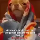ملصق