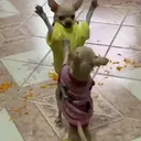 ملصق