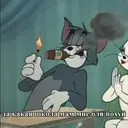 Samolepka