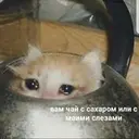 Samolepka